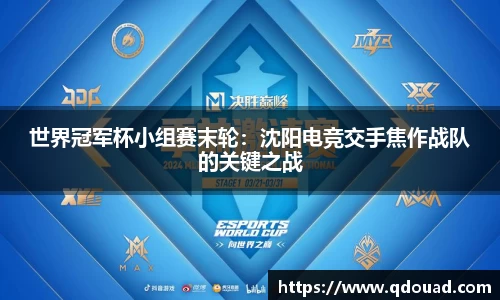 中欧体育