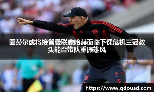 中欧体育