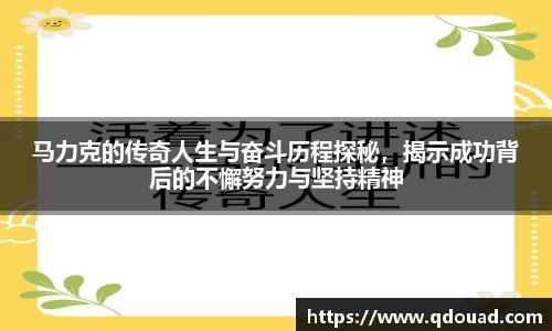 中欧体育